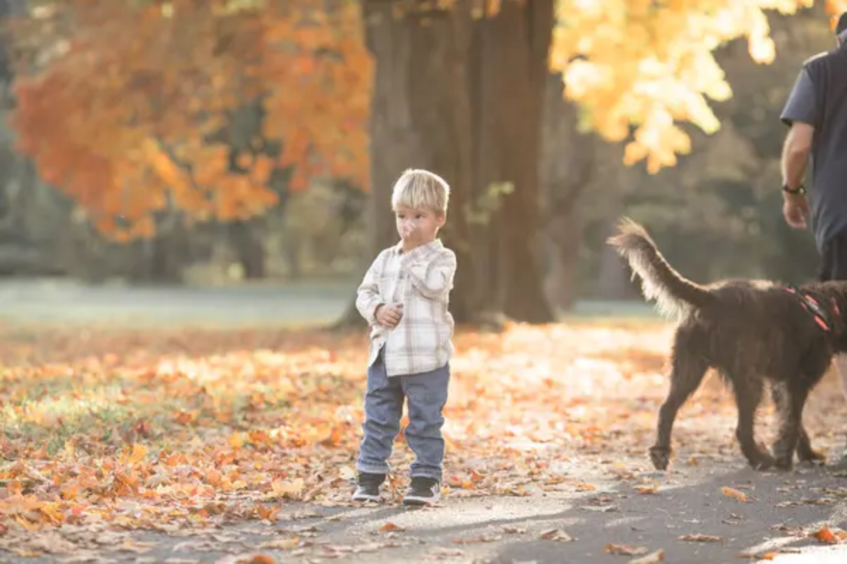 Child Dog Walk