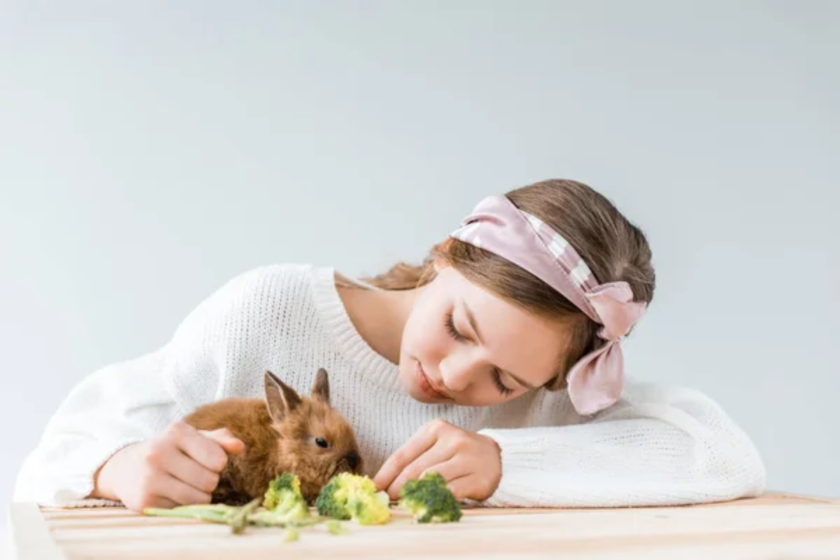 Child Feeding Rabbit