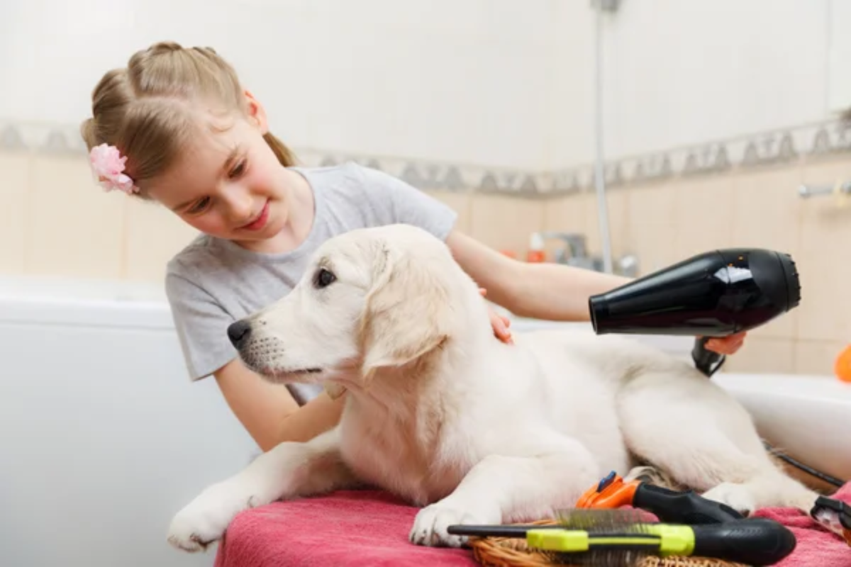 Child Grooming Dog