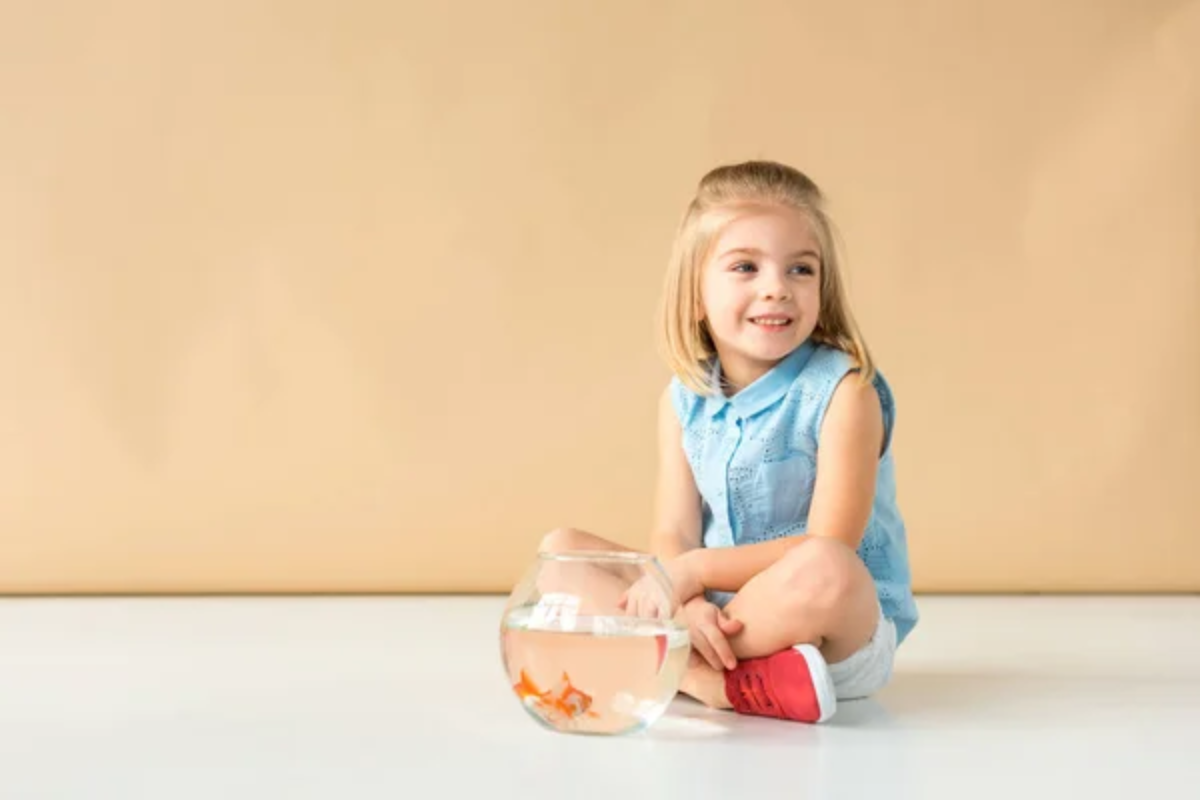 Child Pet Fish