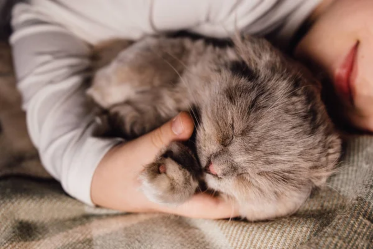 Child Snuggle Cat