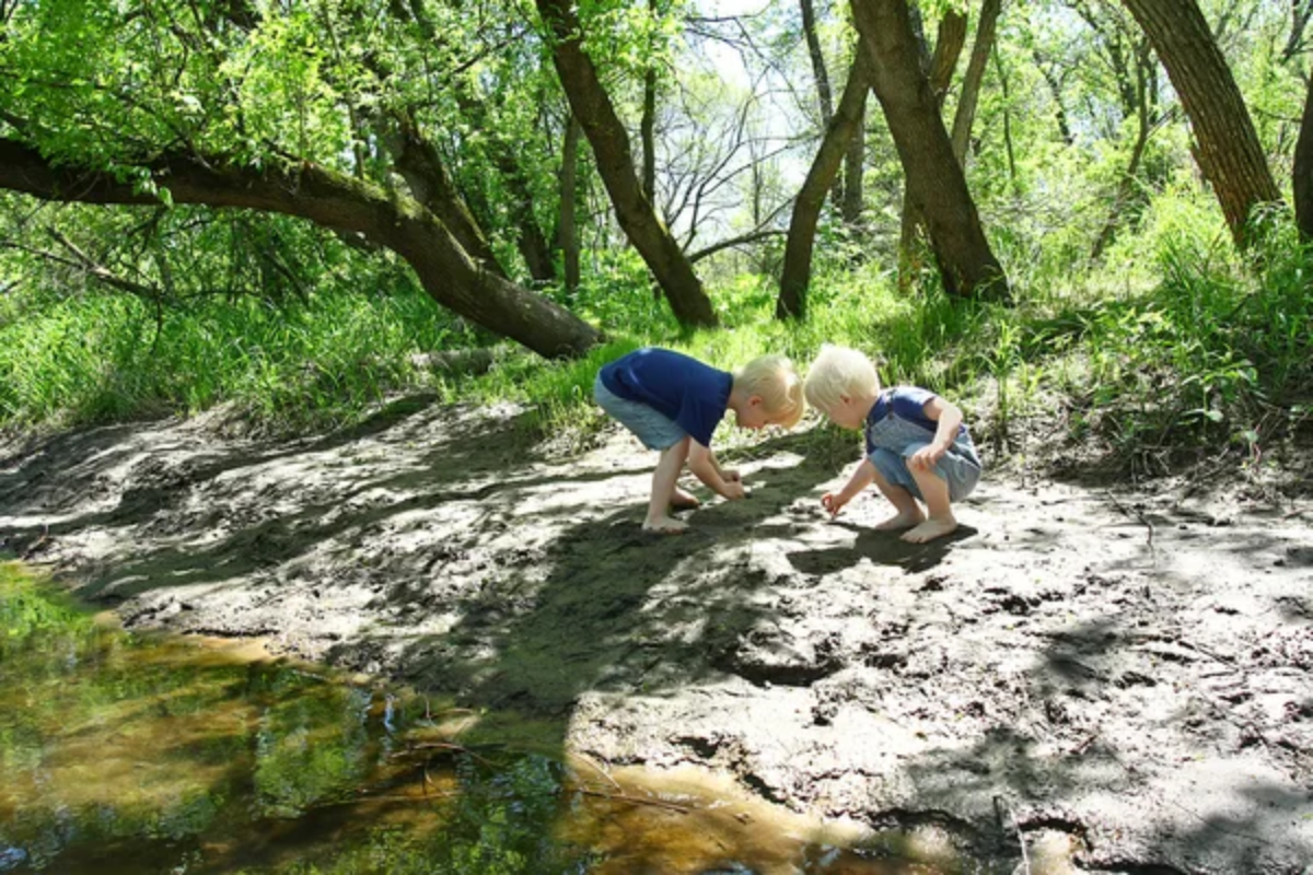 Children Exploring Outdoors