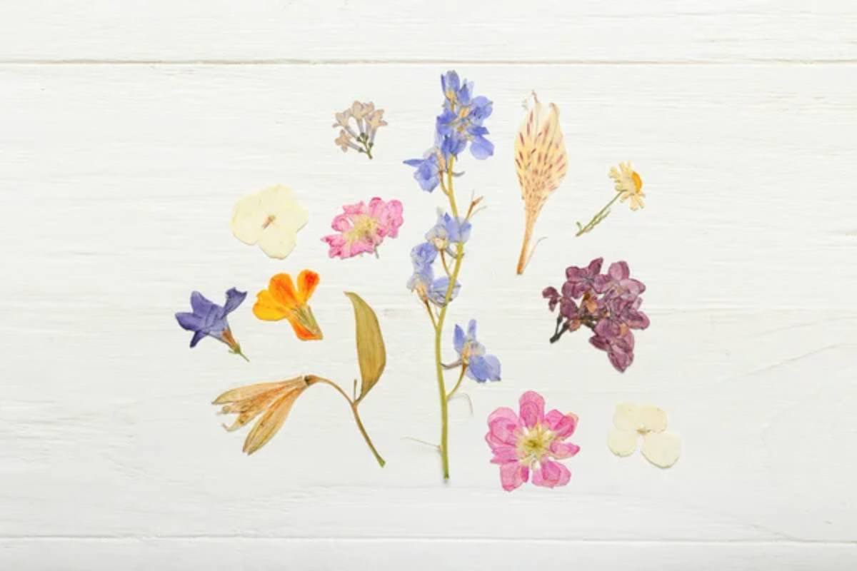 Craft Flower Pressing