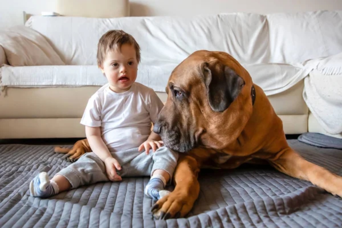 Dog Child