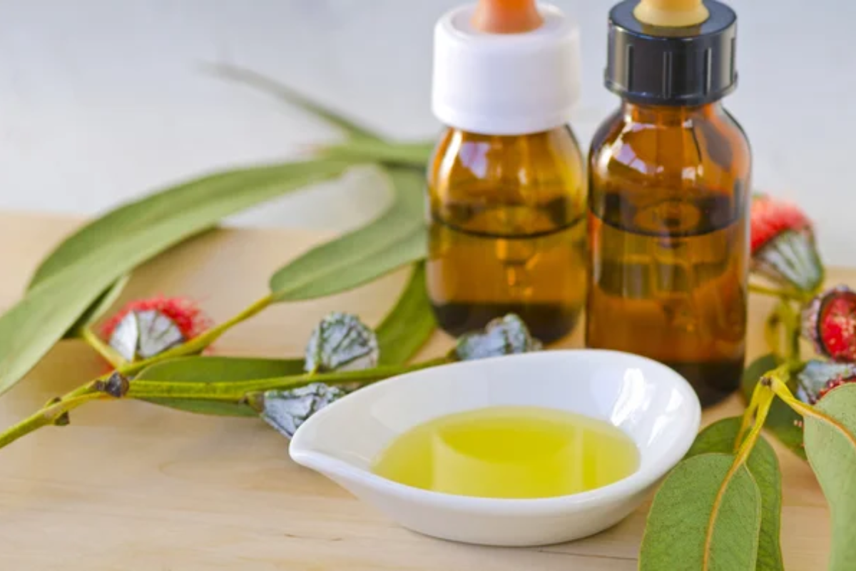 Eucalyptus Oil