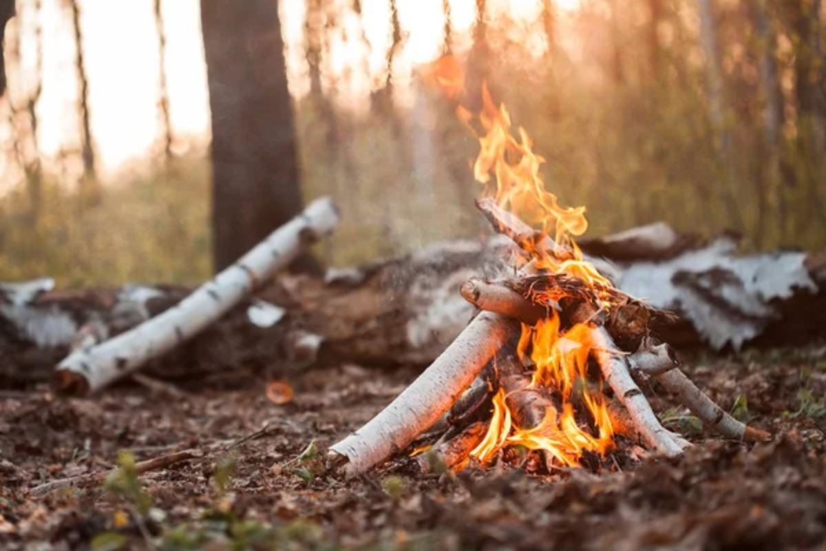 Fall Bon Fire