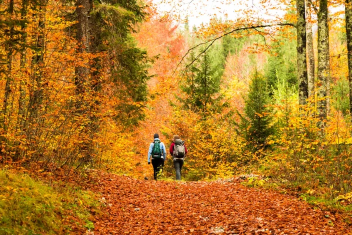 Fall Hike