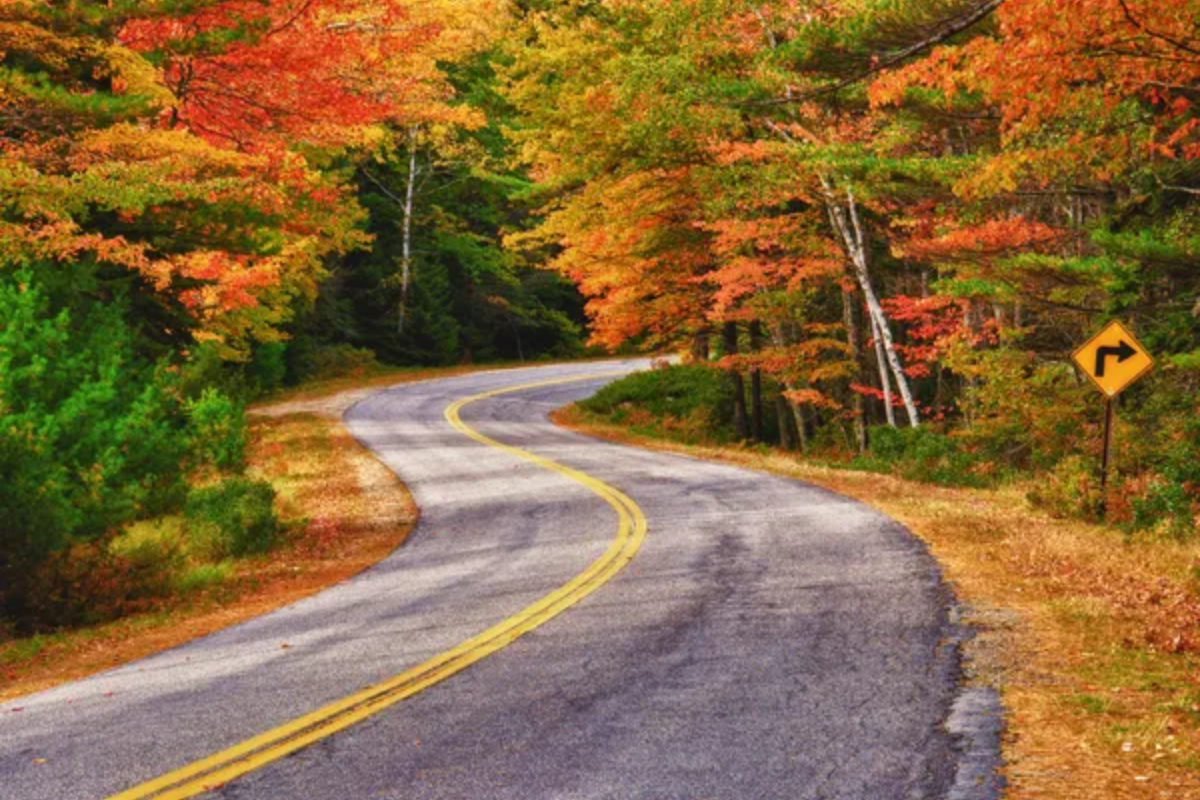 Fall Leaves Road