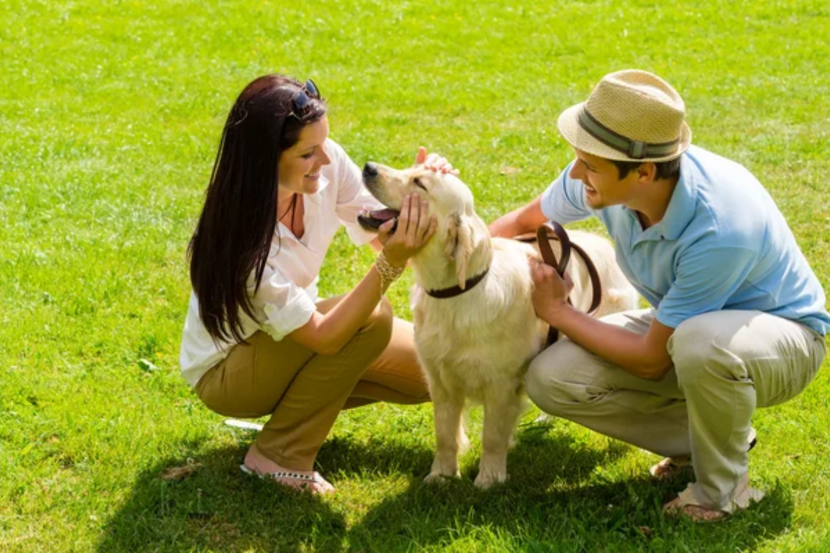 Family Dog