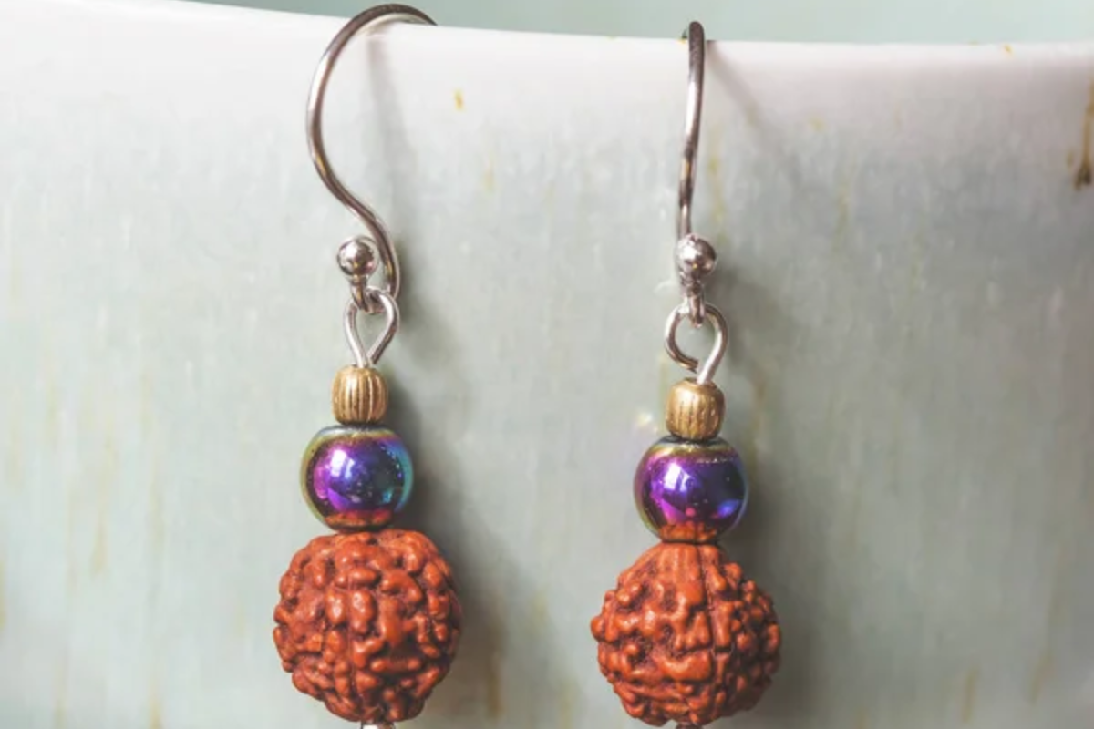 Fish Hook Earrings