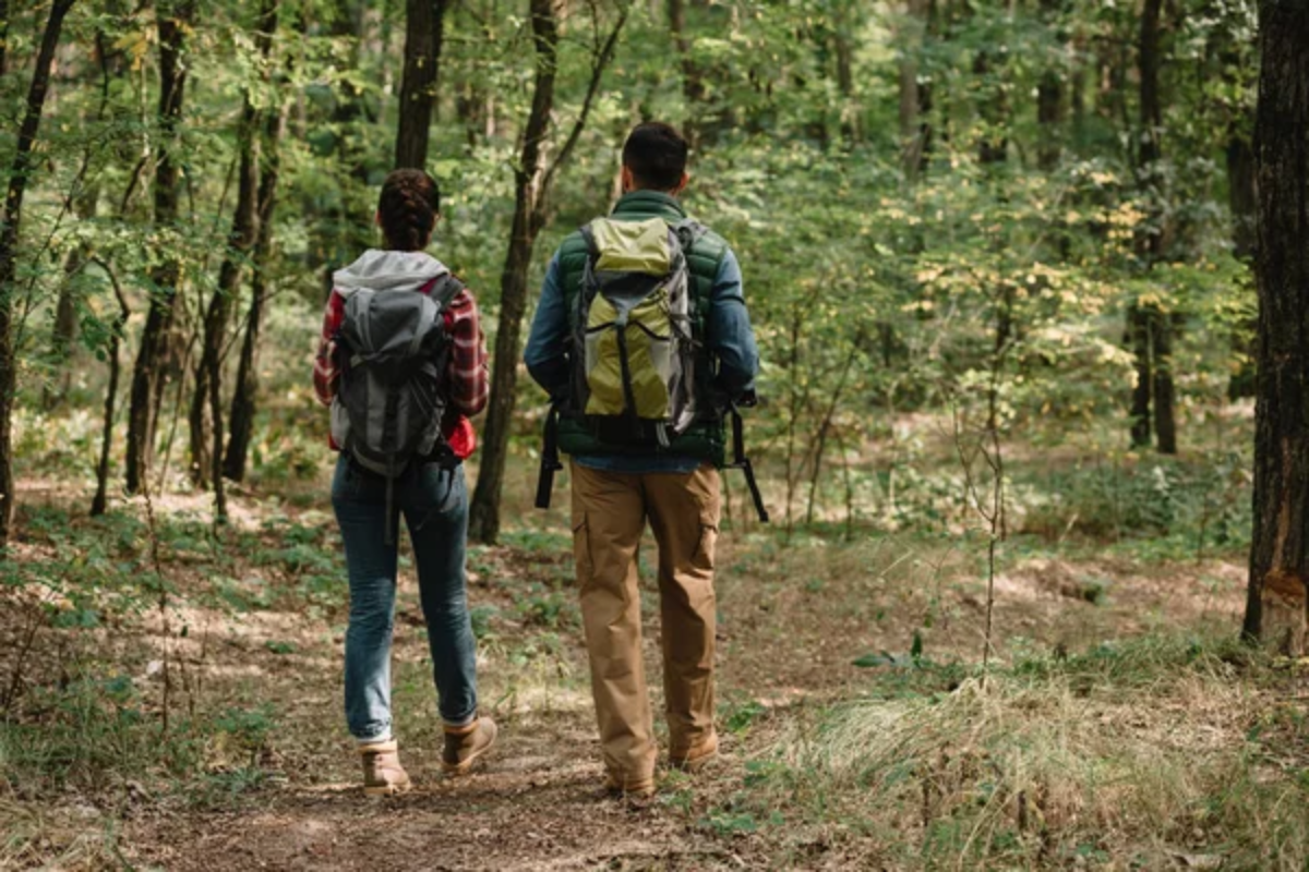 Hike Walk Outdoors