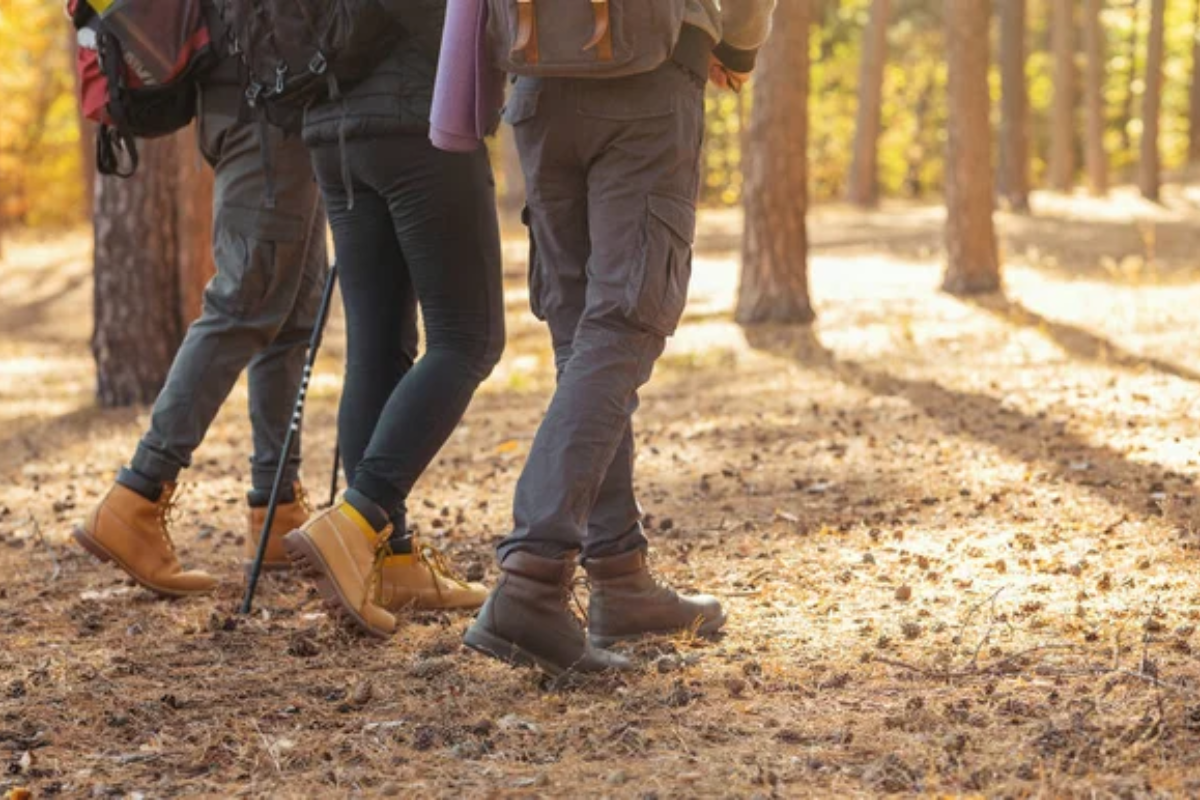 Hiking Pants