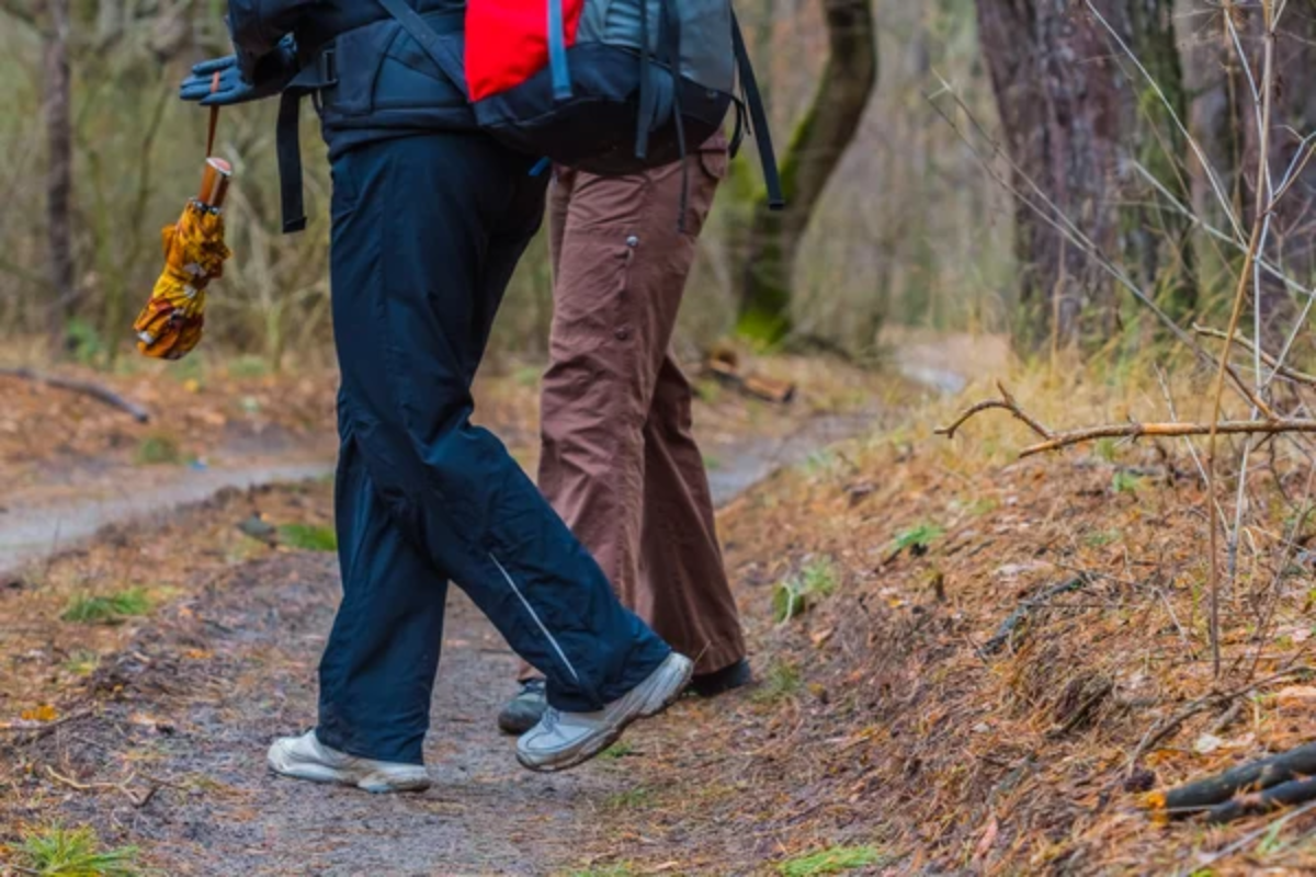 Hiking Pants