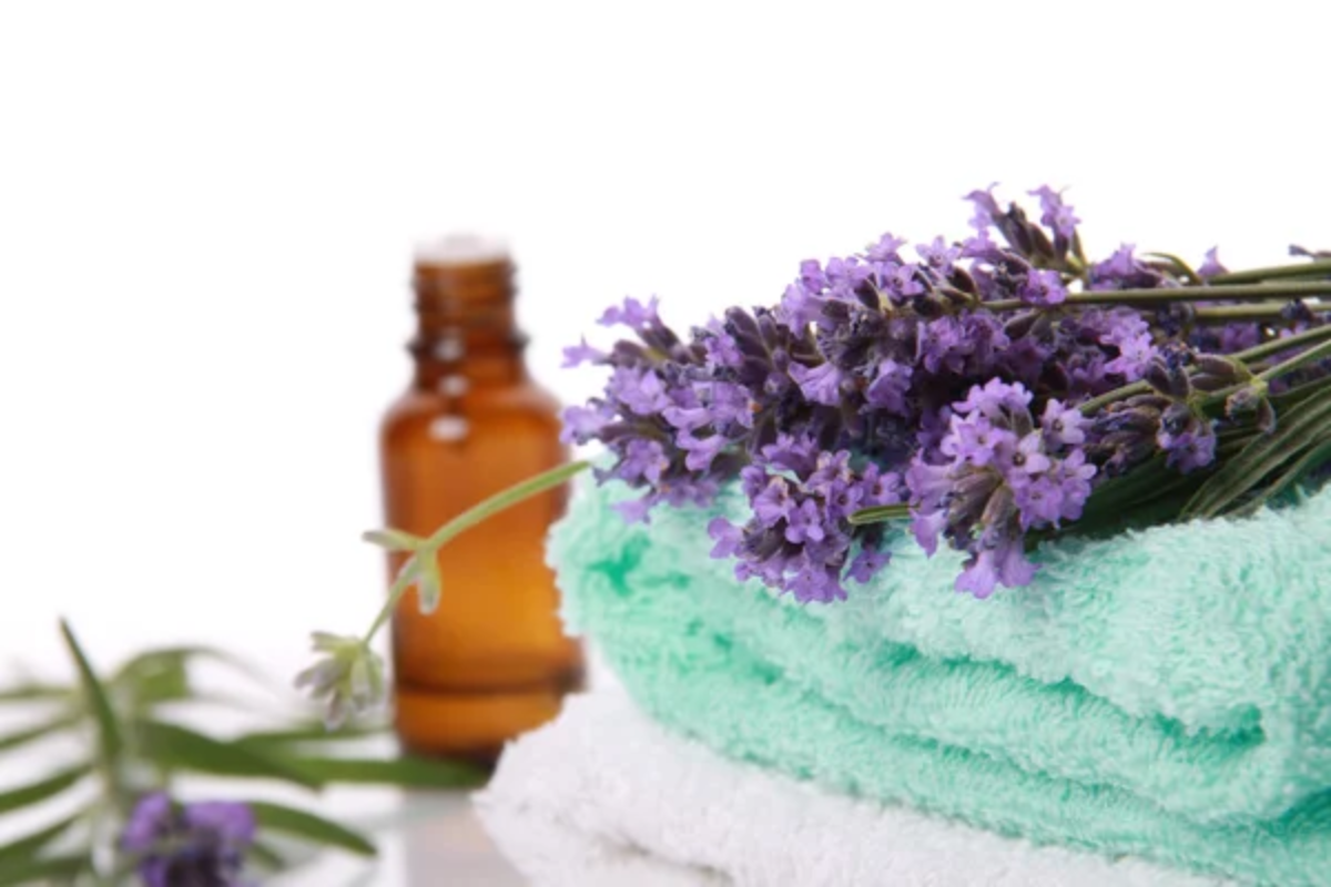 Lavender Oil