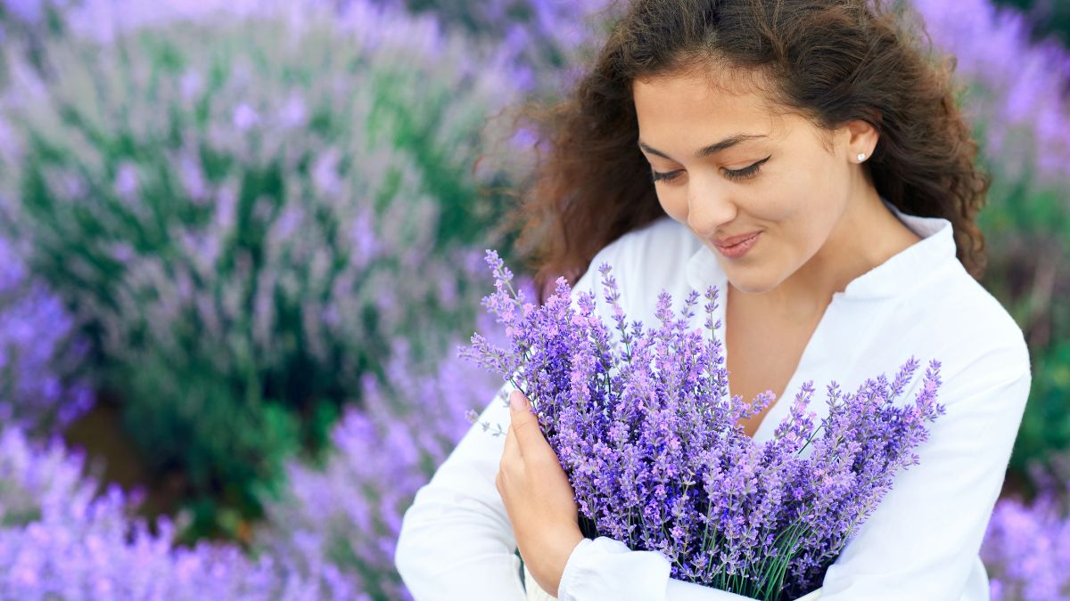 Lavender
