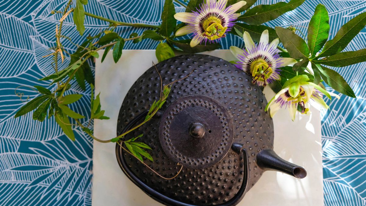 Passionflower