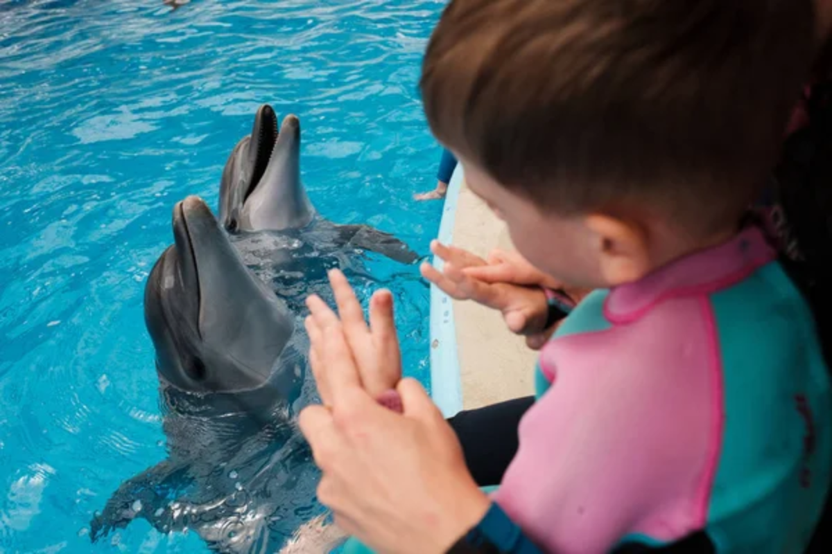 Sensory Dolphin Child