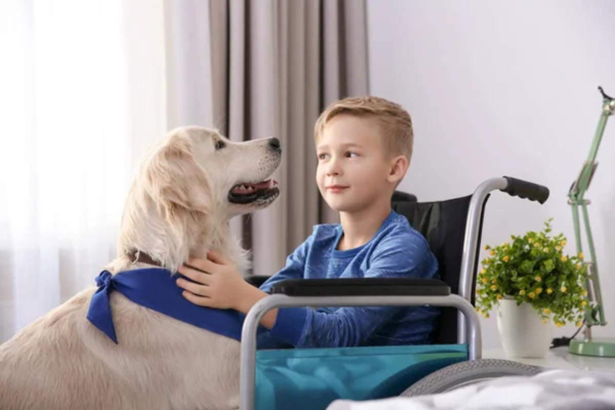 Therapy Dog Child