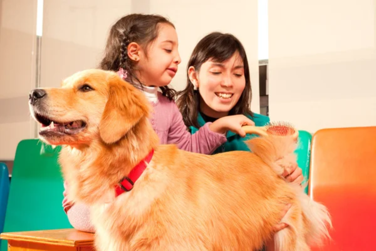 Therapy Dog Child