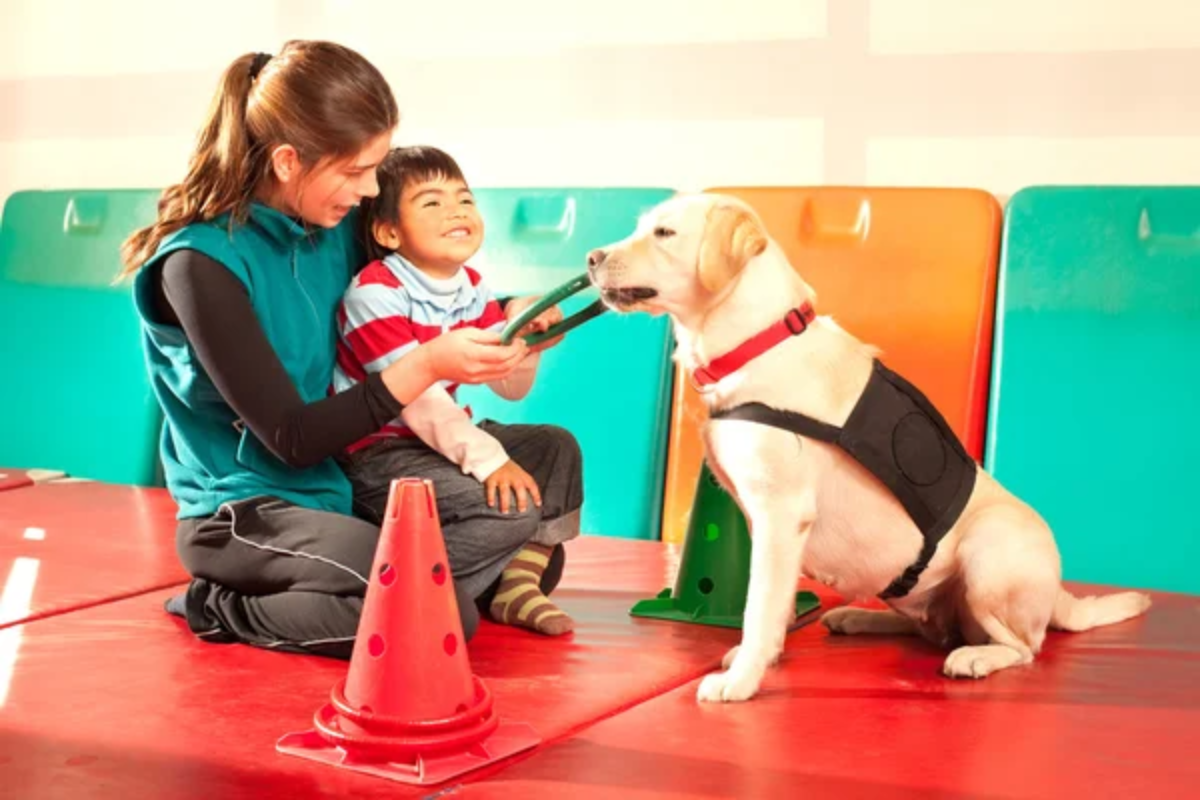 Therapy Dog Child