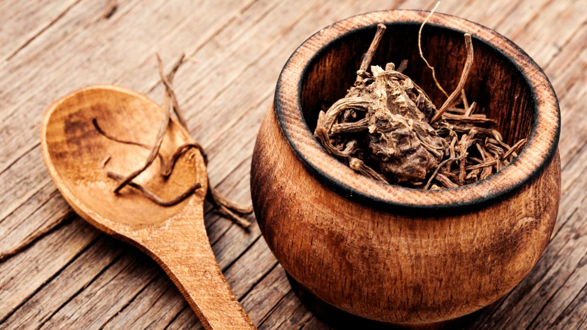 Valerian Root