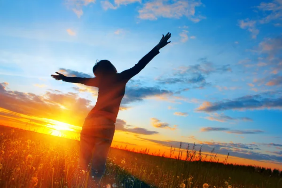Woman Field Happy Sun