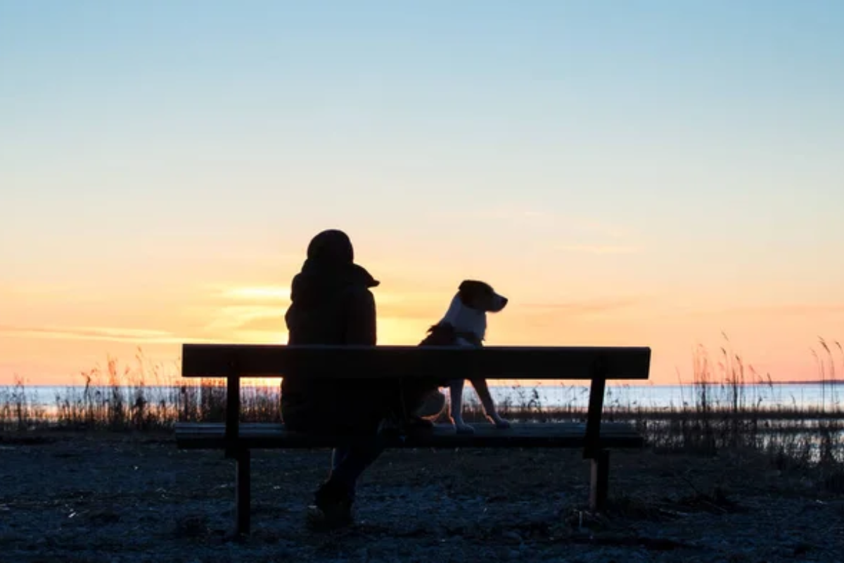 Woman Sunset Dog