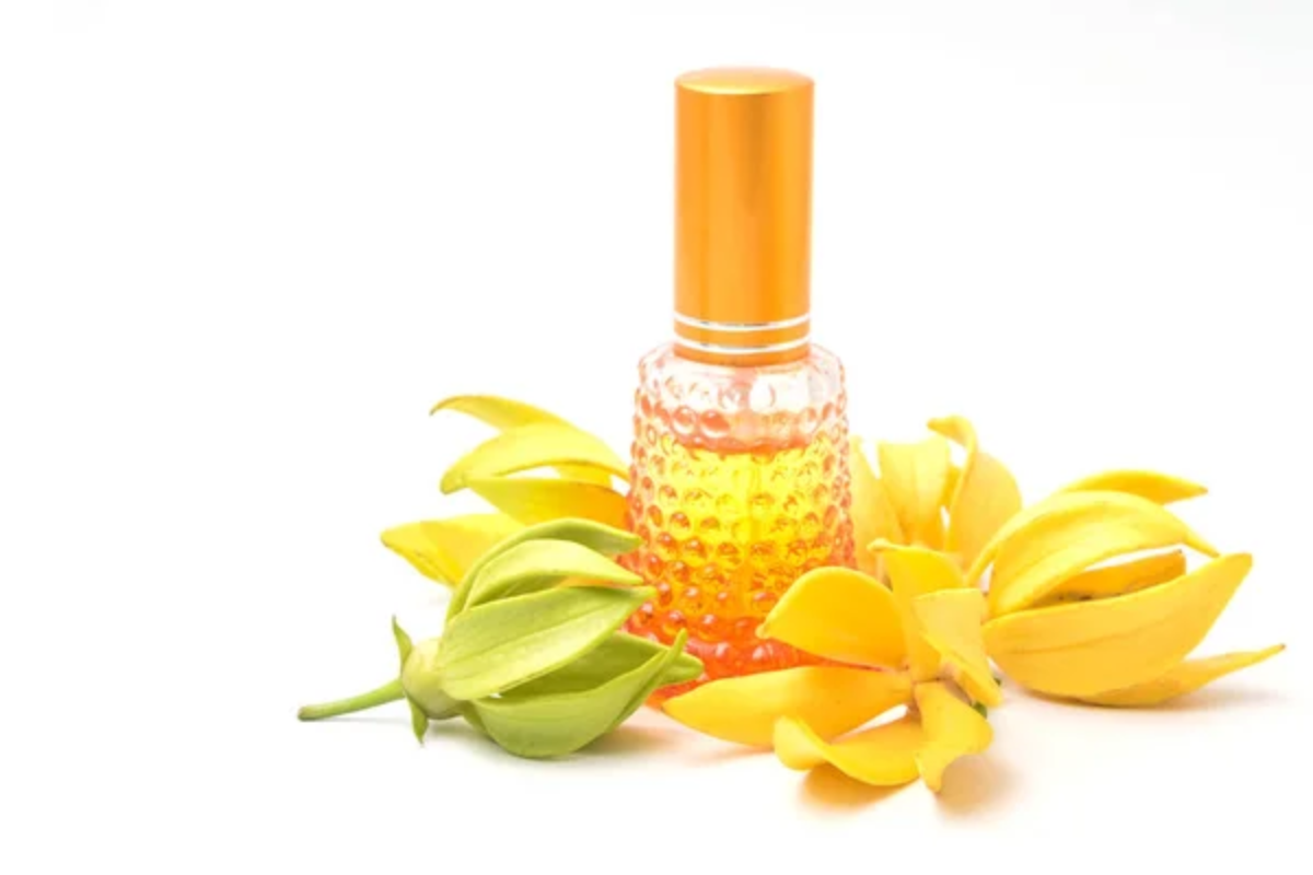 Ylang Ylang Oil