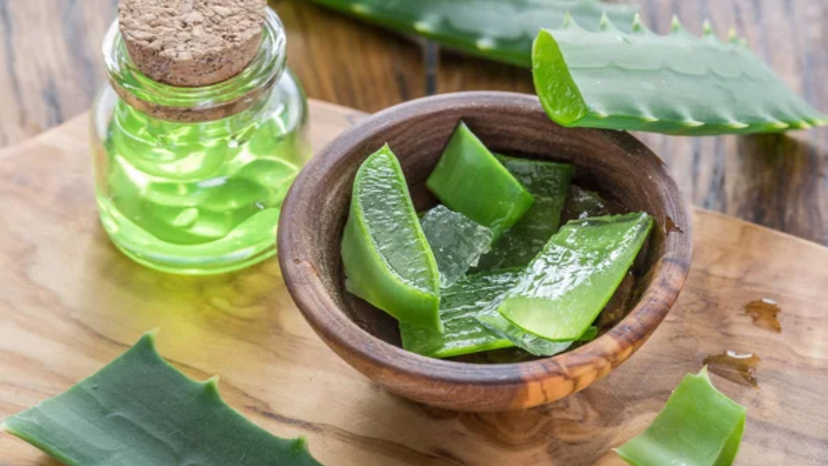 aloe vera