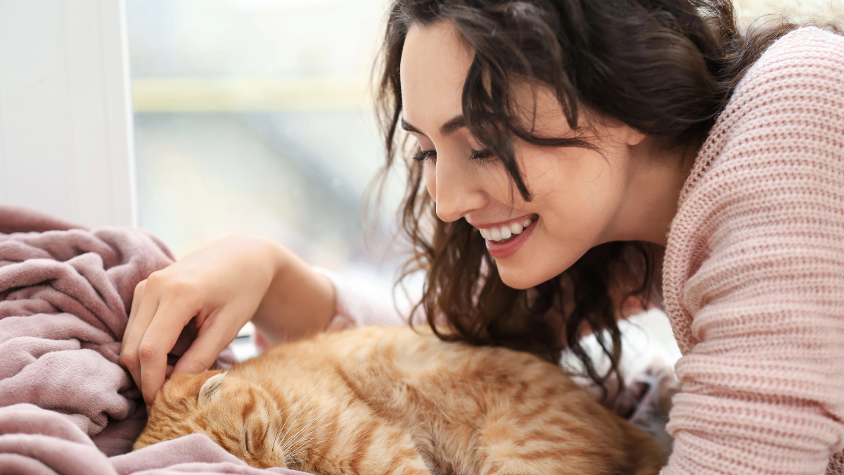 cat