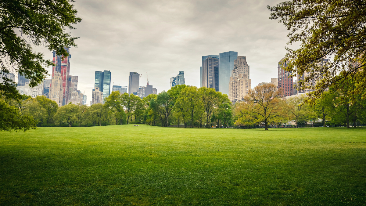 central park