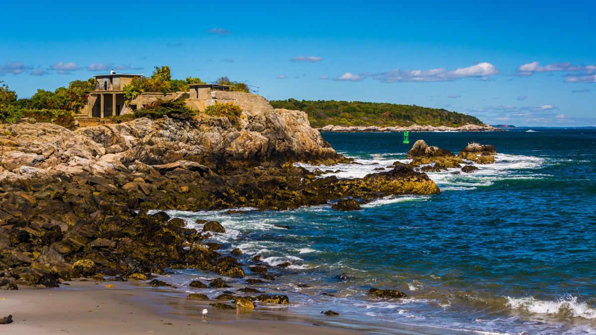 coast line and water