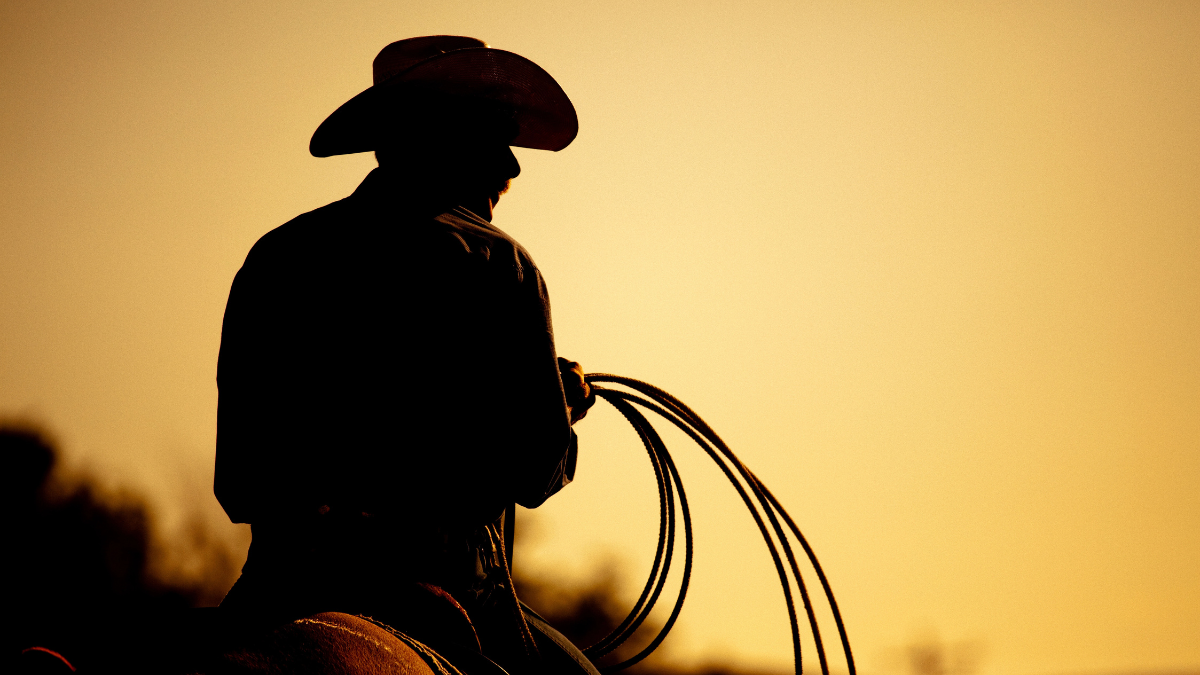 cowboy
