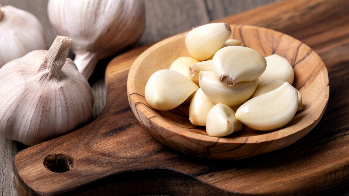 garlic
