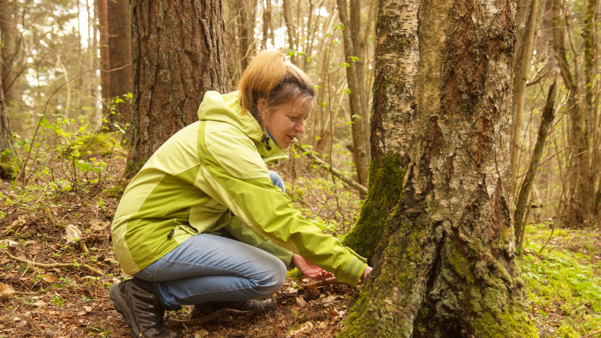 geocaching