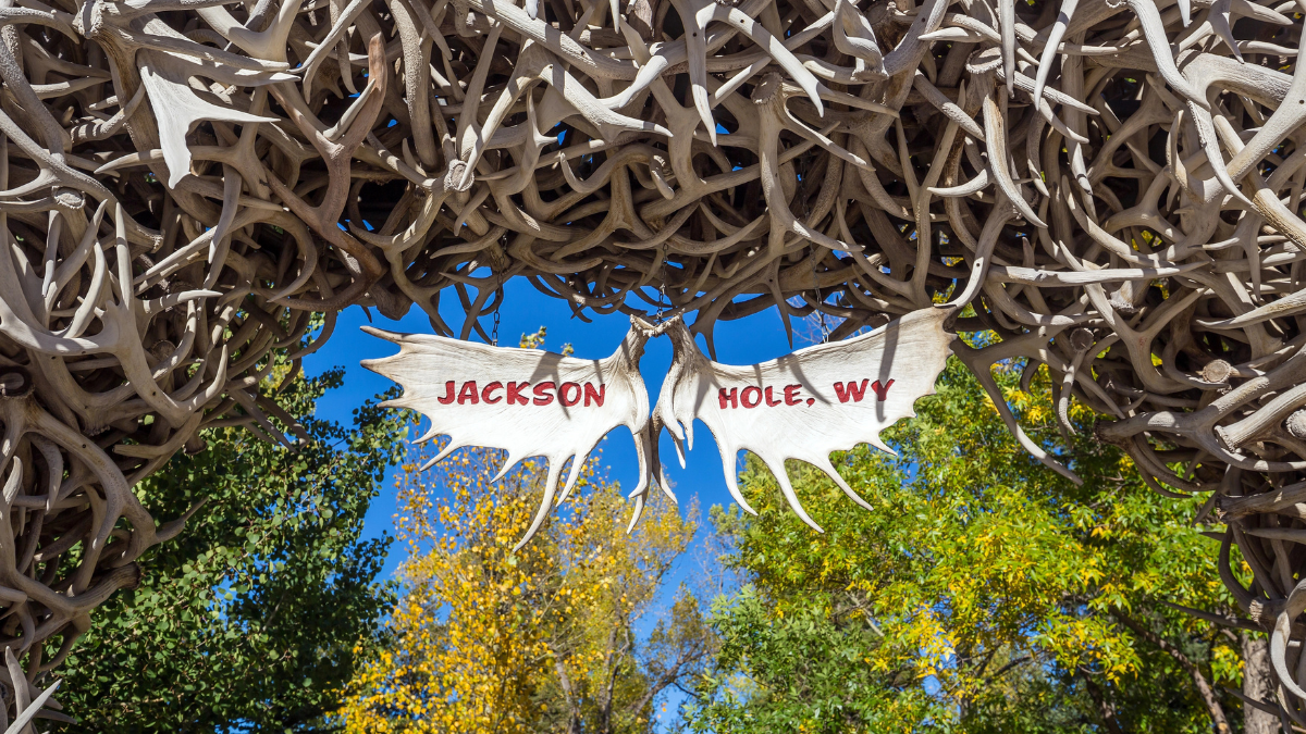 jackson hole co
