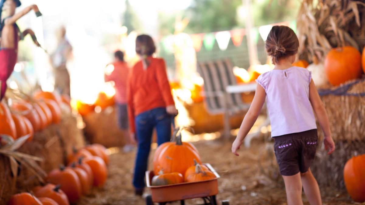 kids in fall