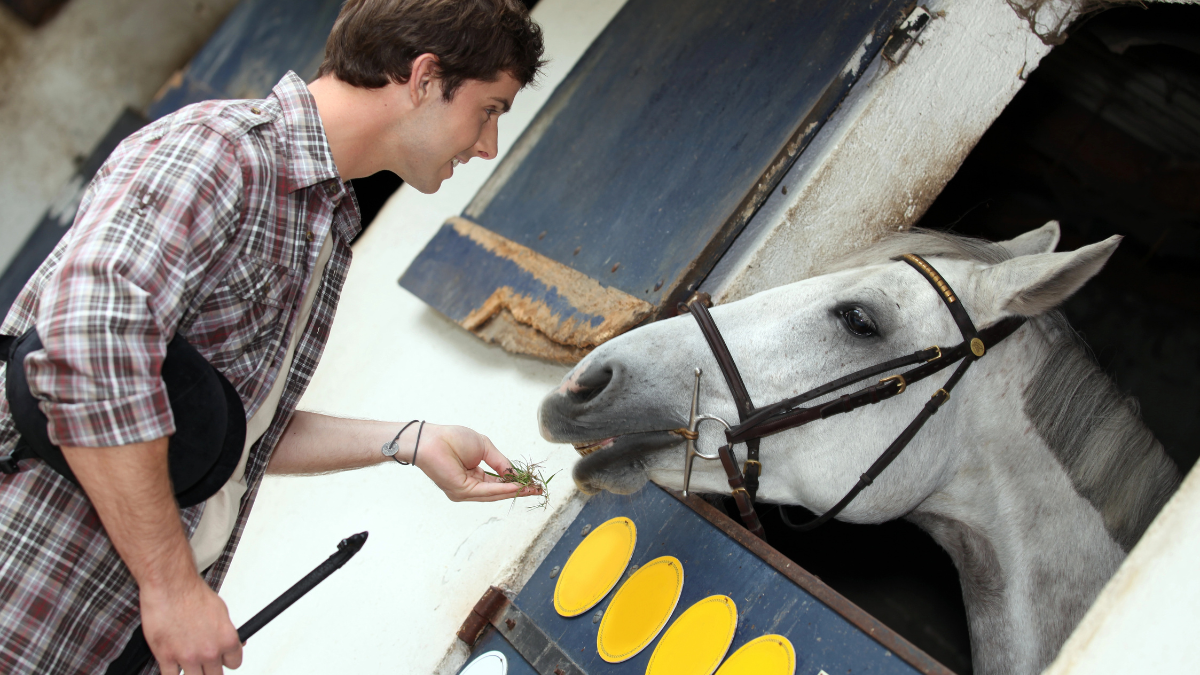 man with horse