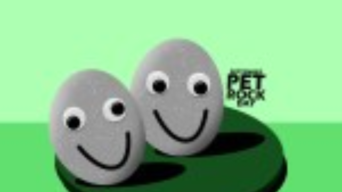pet rock