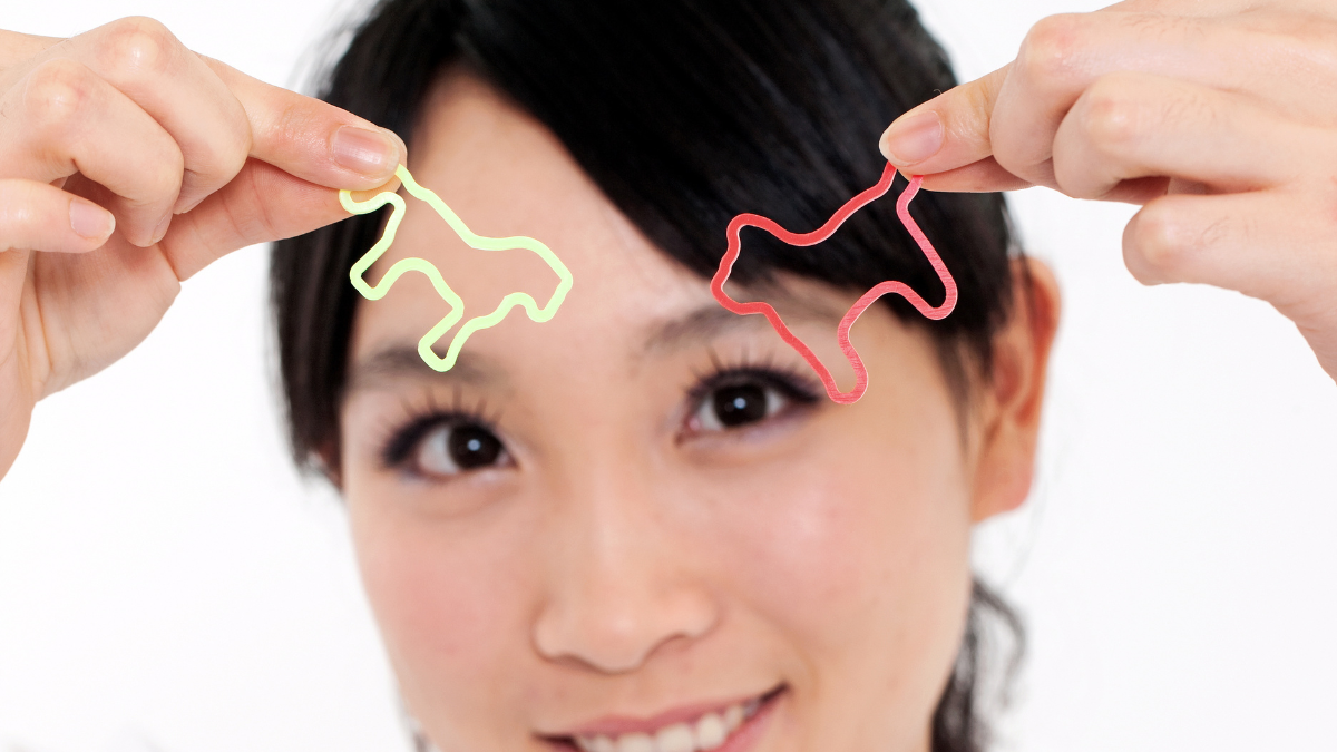silly bandz