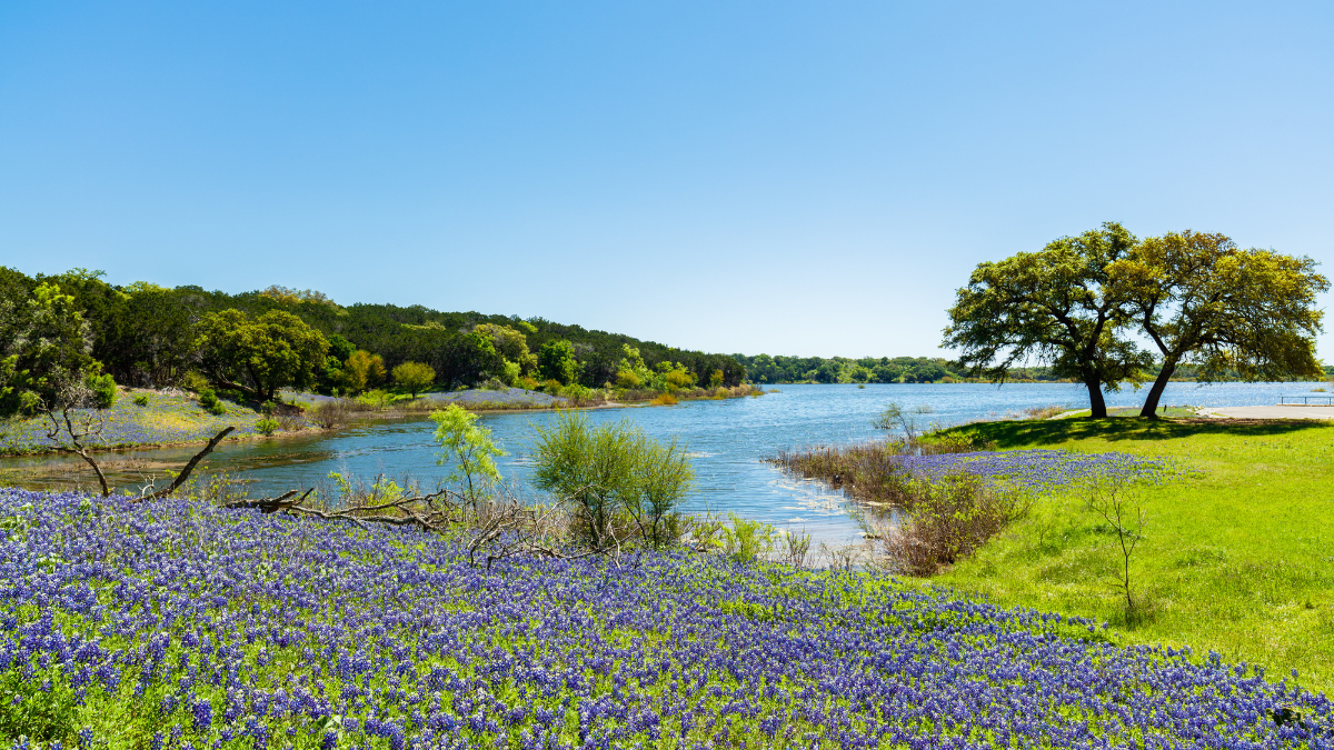 texas