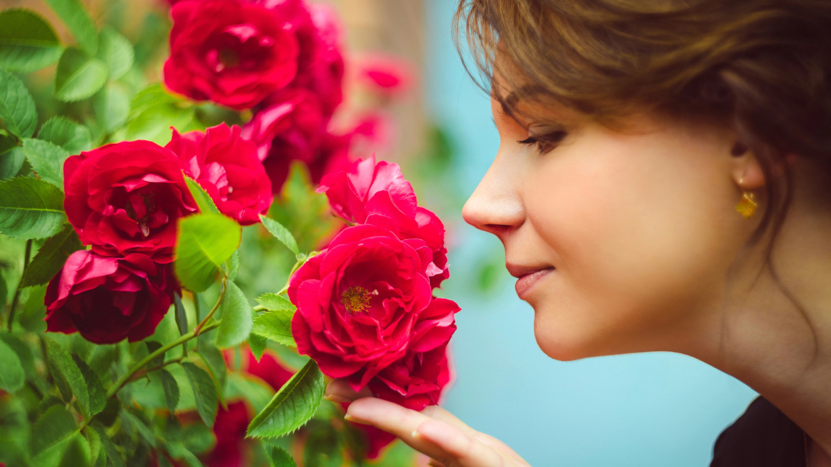 woman smelling roses