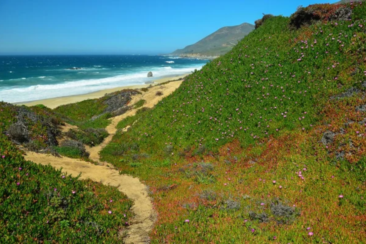 Carmel by the Sea California