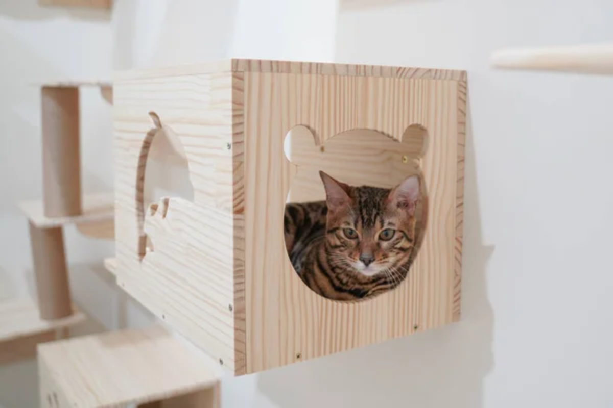 Cat House