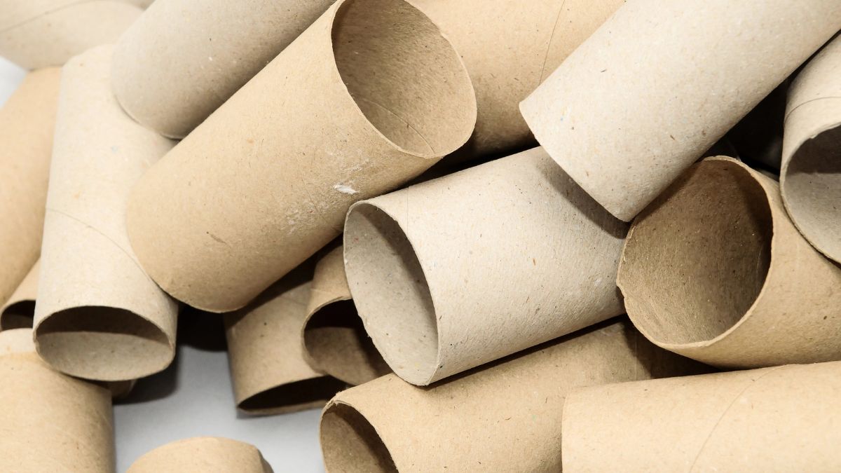 Empty Toilet Paper Roll