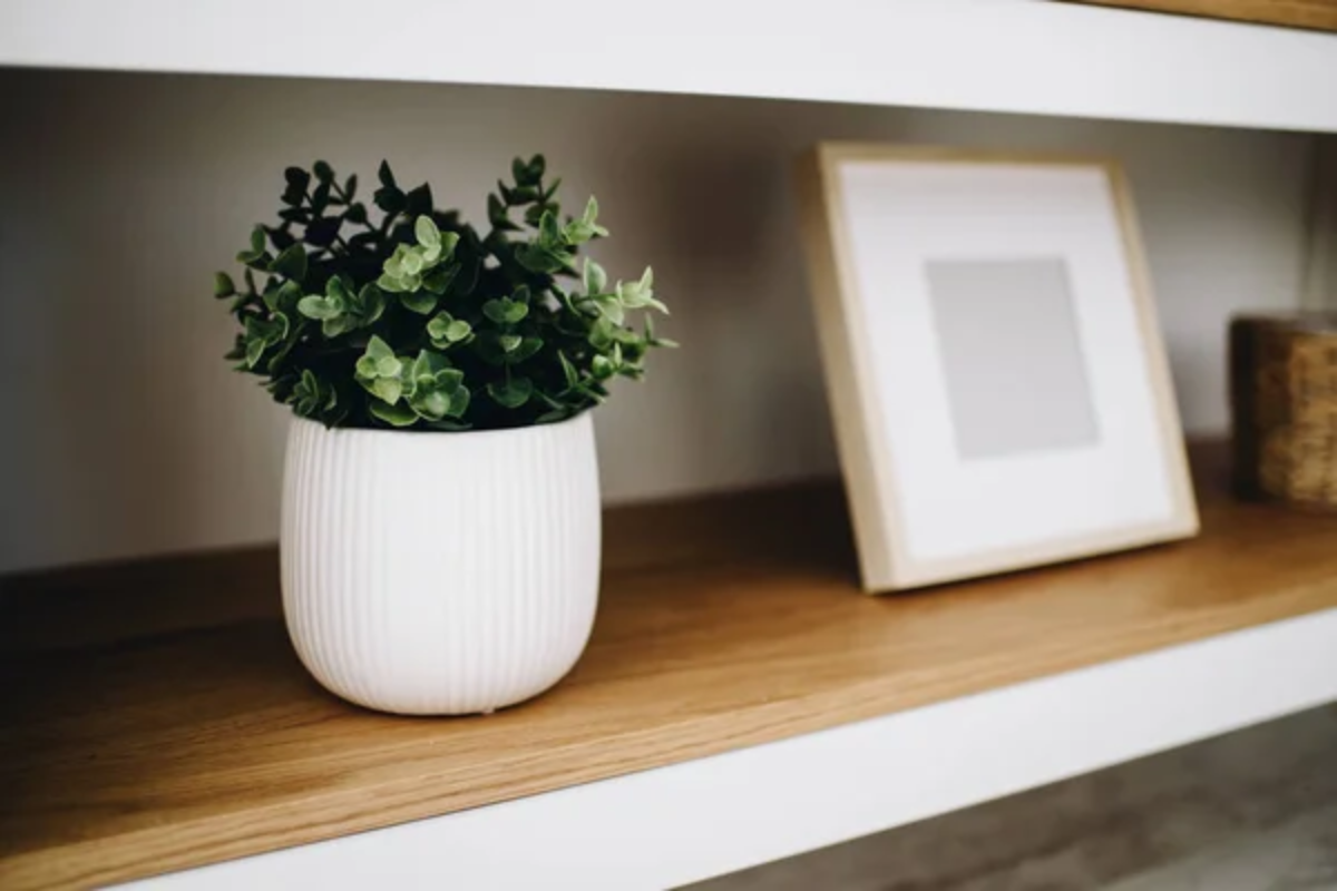 Fake Plant