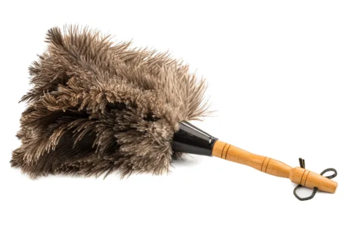 Feather Duster