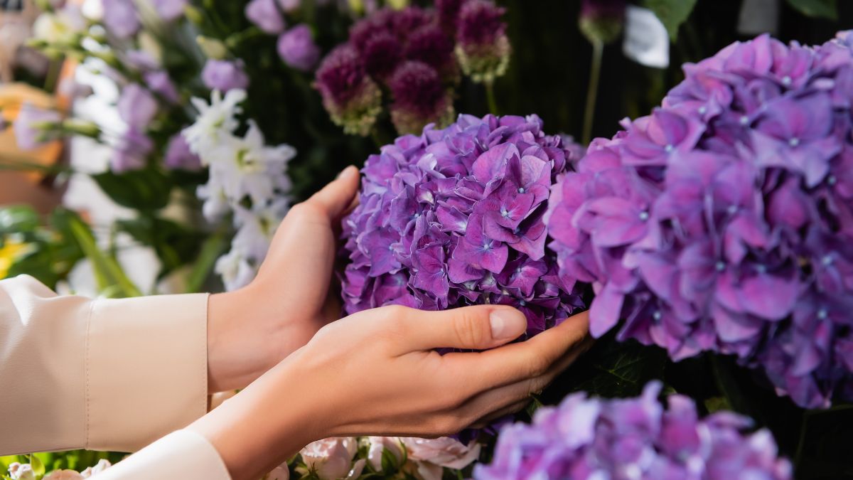 15 Stunning Perennial Flowers to Make Your Garden Beautiful All Year Round