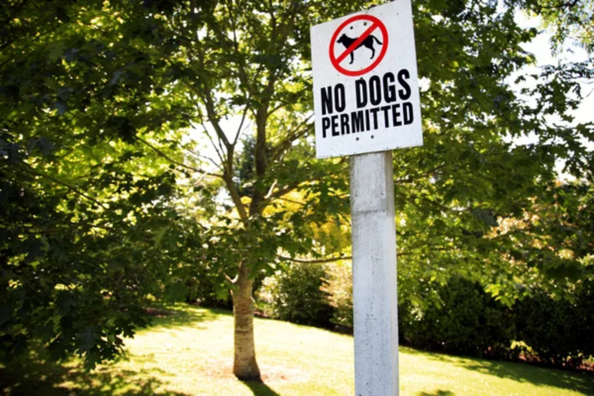 No Dogs Sign