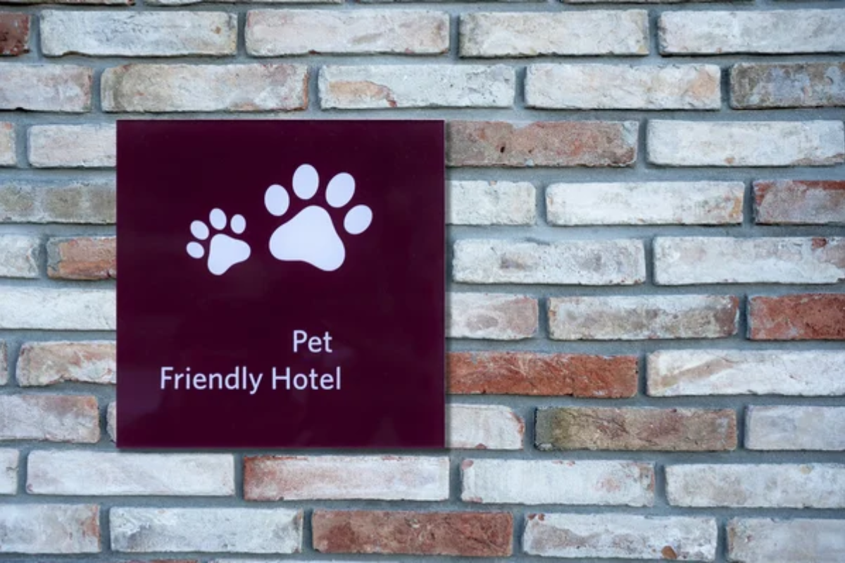 Pet Friendly Hotel